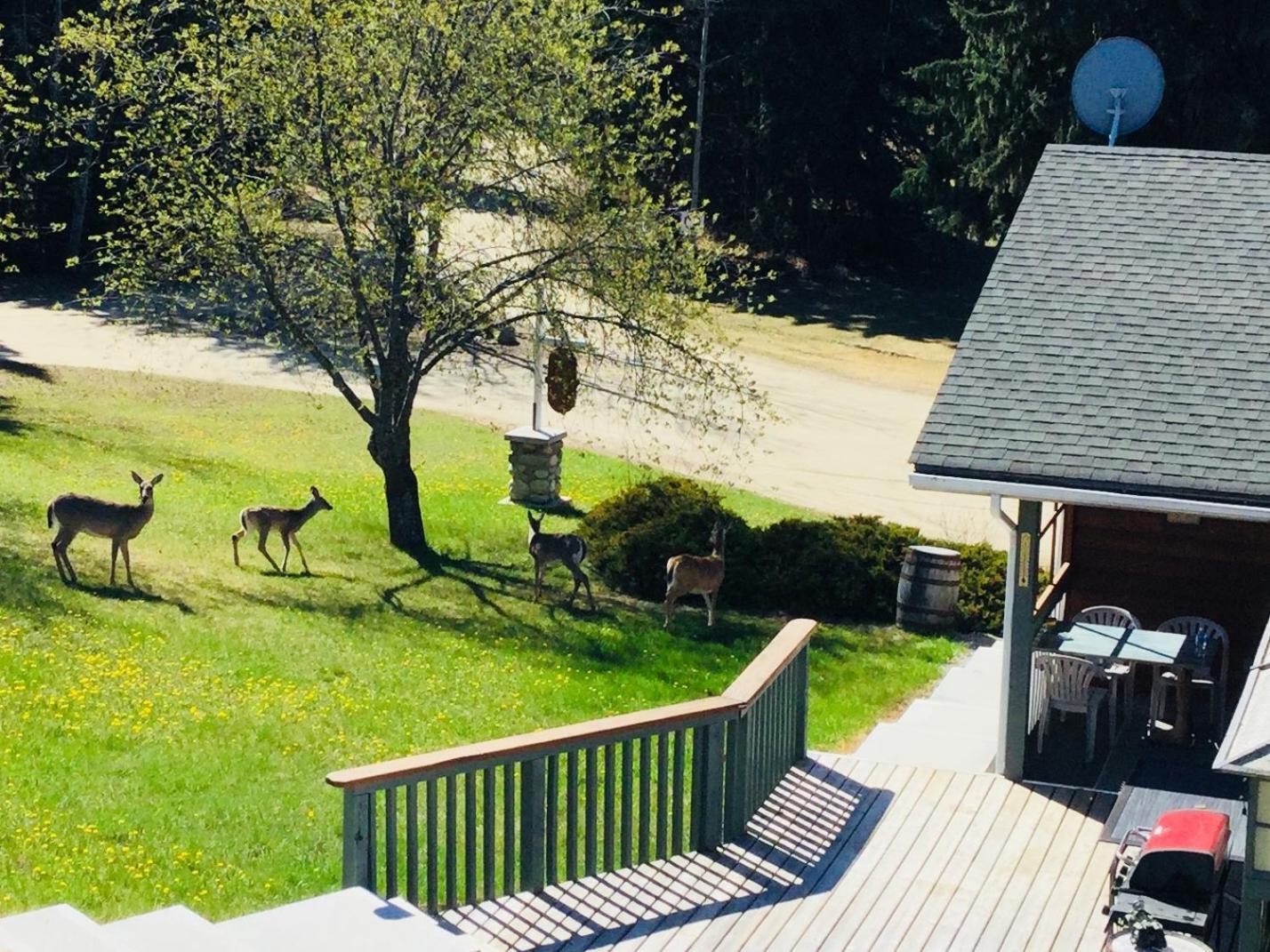 Dream Catcher Inn فالماونت المظهر الخارجي الصورة